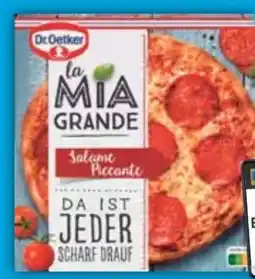 E-Center Dr. Oetker Pizza Angebot