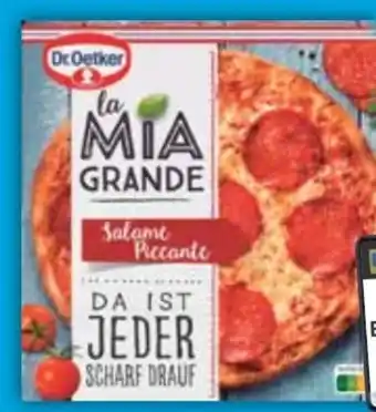 E-Center Dr. Oetker Pizza Angebot