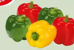 Edeka Xpress Gut & Günstig Paprika-Mix Angebot