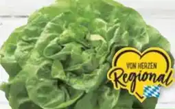E-Center Kopfsalat Angebot