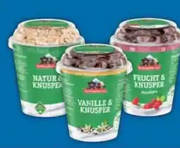 E-Center Berchtesgadener Land Knusperjoghurt Angebot