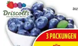 Edeka Driscoll's Heidelbeeren Angebot