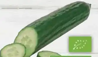 E-Center Bio-Gurke Angebot