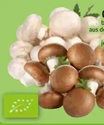 Edeka Bio-Champignons Angebot