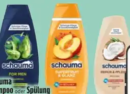Edeka Schwarzkopf Schauma Shampoo Angebot