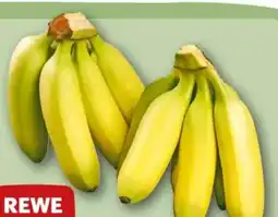 REWE Center Rewe Beste Wahl Mini Bananen Angebot