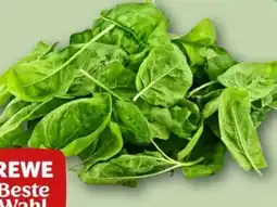 REWE Rewe Beste Wahl Blattspinat Angebot