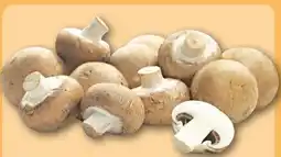 REWE Center Rewe Regional Champignons Angebot