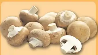REWE Center Rewe Regional Champignons Angebot