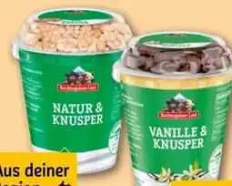 REWE Center Berchtesgadener Land Frucht & Knusper Joghurt Angebot