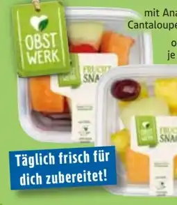 Edeka Obstwerk Früchte-Mix Angebot