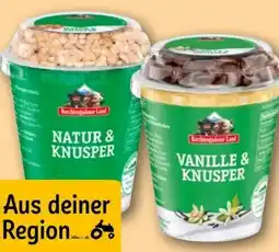 REWE Berchtesgadener Land Frucht & Knusper Joghurt Angebot
