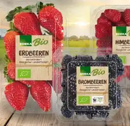 Edeka Edeka Bio Erdbeeren Angebot