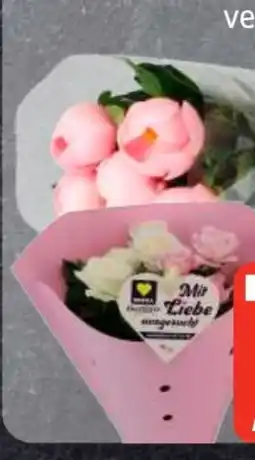Edeka Frischemarkt Edeka Herzstücke Topfrosen Angebot