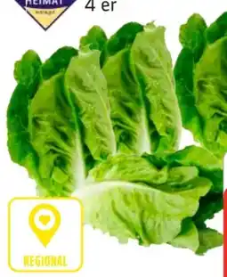 Edeka Unsere Heimat Romanasalatherzen Angebot