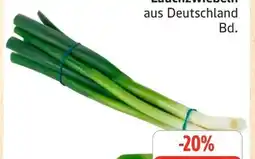 Edeka Lauchzwiebeln Angebot