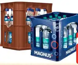 Edeka Wittenseer Quelle Mineralwasser Angebot