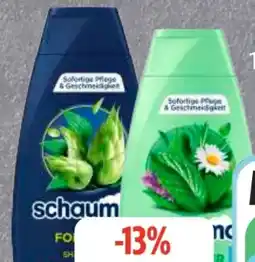 Edeka Schwarzkopf Schauma Shampoo Angebot