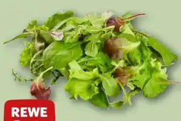 REWE Rewe Beste Wahl Wildkräuter Salat Angebot