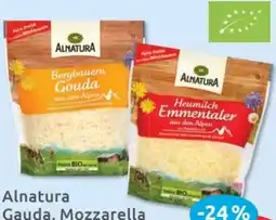 Budni Alnatura Mozzarella Angebot