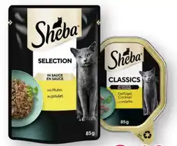 Scheck-in-Center Sheba Katzennahrung Angebot