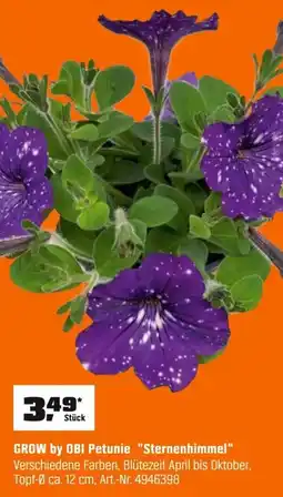 OBI GROW by OBI Petunie "Sternenhimmel" Angebot