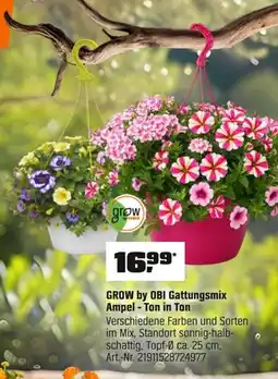 OBI GROW by OBI Gattungsmix Ampel - Ton in Ton Angebot