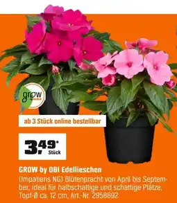 OBI GROW by OBI Edellieschen (Impatiens NG) Angebot
