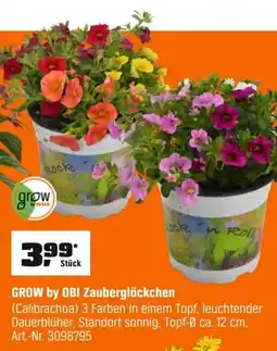 OBI GROW by OBI Zauberglöckchen (Calibrachoa) Angebot