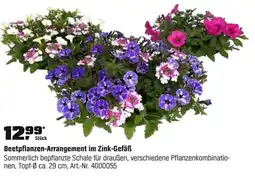 OBI Beetpflanzen-Arrangement im Zink-Gefäß Angebot