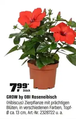 OBI GROW by OBI Roseneibisch (Hibiscus) Angebot
