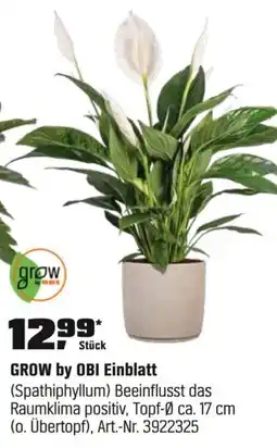 OBI GROW by OBI Einblatt (Spathiphyllum) Angebot