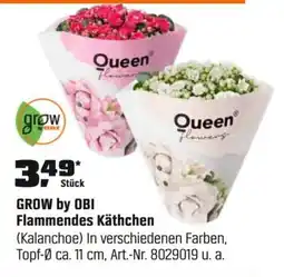 OBI GROW by OBI Flammendes Käthchen (Kalanchoe) Angebot