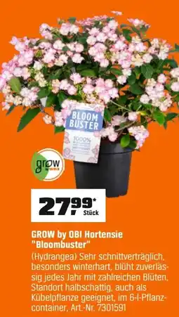 OBI GROW by OBI Hortensie "Bloombuster" (Hydrangea) Angebot