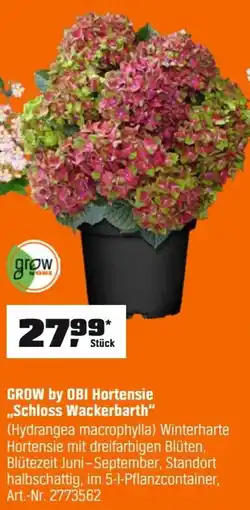 OBI GROW by OBI Hortensie ,,Schloss Wackerbarth" (Hydrangea macrophylla) Angebot