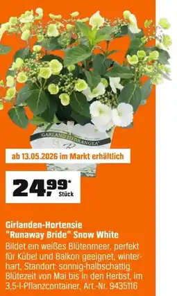OBI Girlanden-Hortensie "Runaway Bride" Snow White Angebot