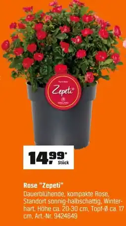 OBI Rose "Zepeti" Angebot