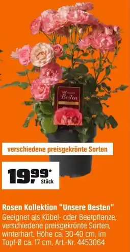 OBI Rosen Kollektion "Unsere Besten" Angebot