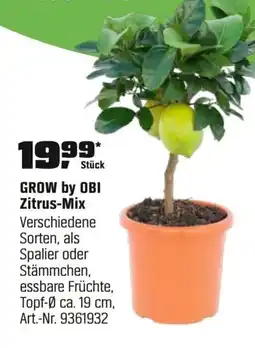 OBI GROW by OBI Zitrus-Mix Angebot