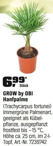 OBI GROW by OBI Hanfpalme (Trachycarpus fortunei) Angebot