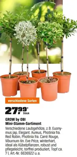 OBI GROW by OBI Mini-Stamm-Sortiment Angebot