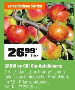 OBI GROW by OBI Bio-Apfelbäume Angebot