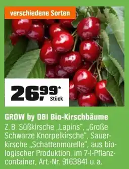 OBI GROW by OBI Bio-Kirschbäume Angebot