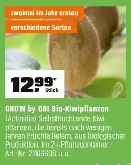OBI GROW by OBI Bio-Kiwipflanzen (Actinidia) Angebot