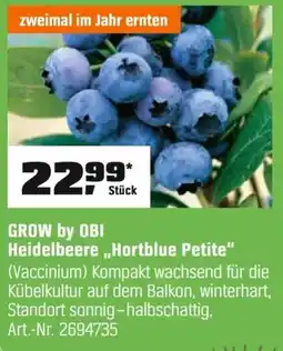 OBI GROW by OBI Heidelbeere „Hortblue Petite" (Vaccinium) Angebot