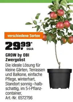 OBI GROW by OBI Zwergobst Angebot