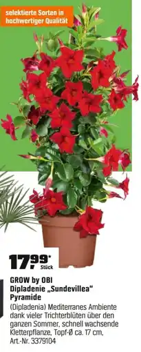 OBI GROW by OBI Dipladenie,,Sundevillea" Pyramide (Dipladenia) Angebot