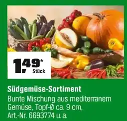 OBI Südgemüse-Sortiment Angebot