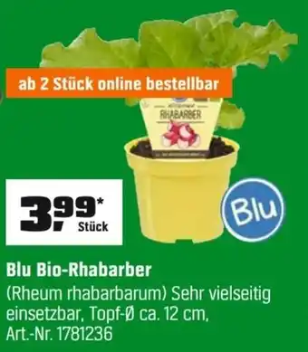 Blu Bio-Rhabarber
