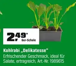 OBI Kohlrabi,,Delikatesse" Angebot